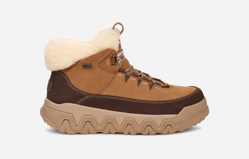 UGG® Women's TerreTrail Cozy Lace Suede/Waterproof Cold Weather Boots in Chestnut, Size 8.5